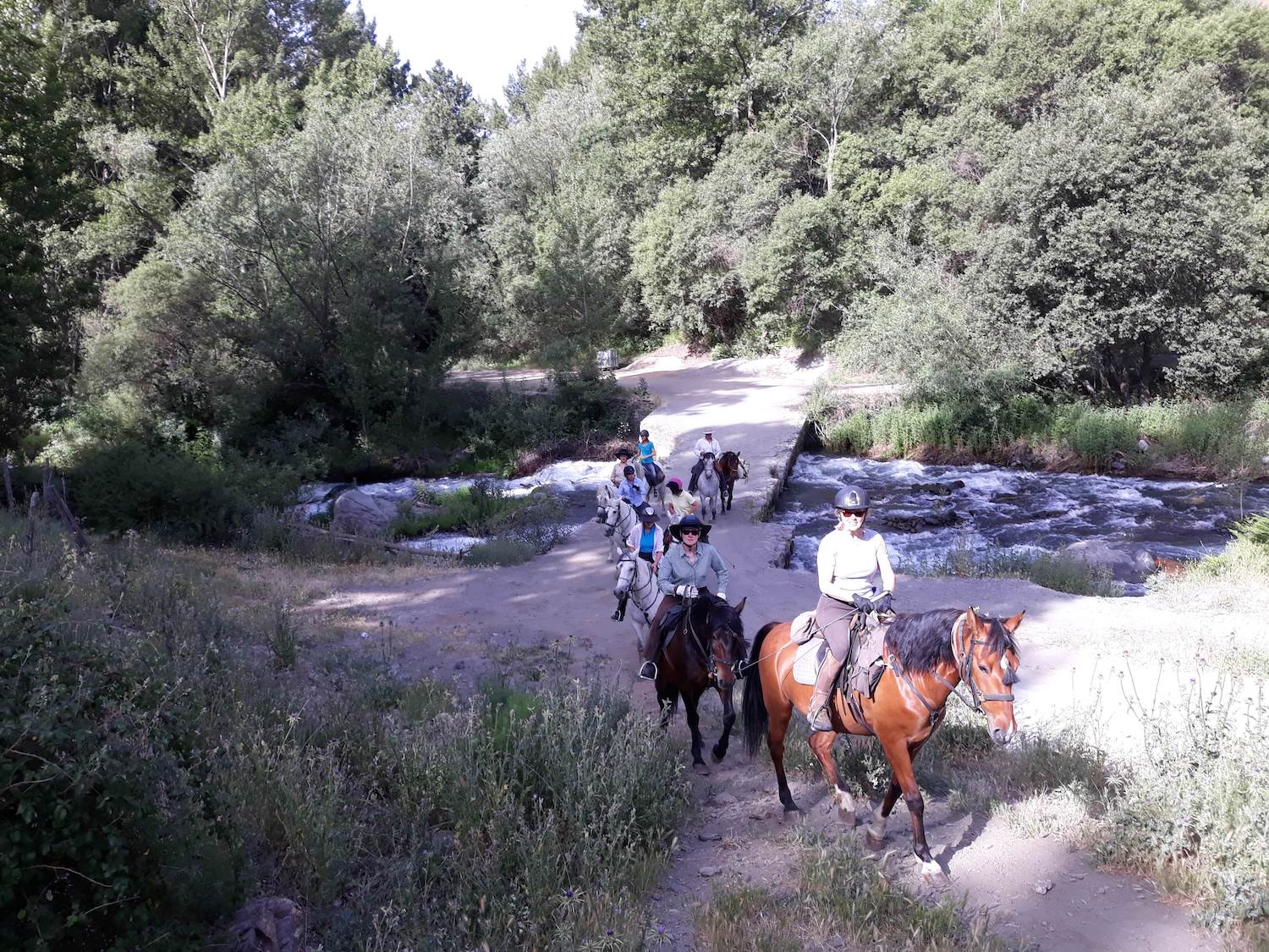 Horse Trail Holidays