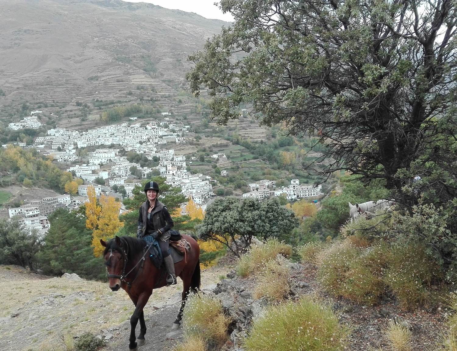 Horse Riding Holidays Europe