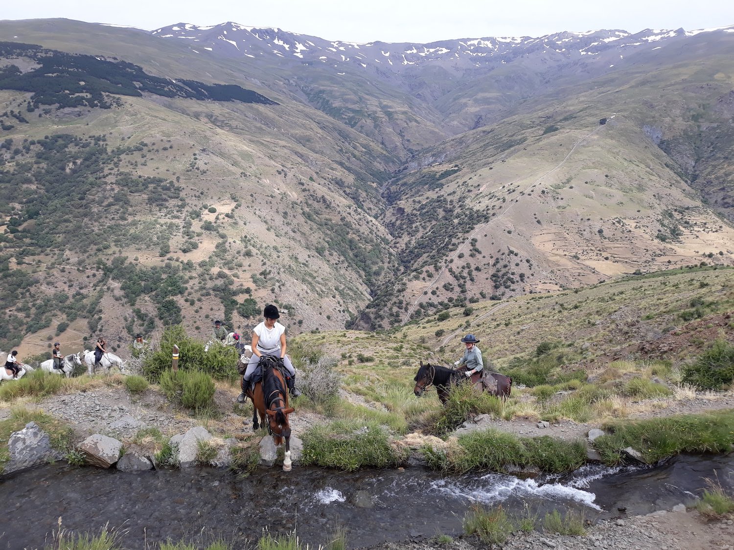 Horse Trail Holidays