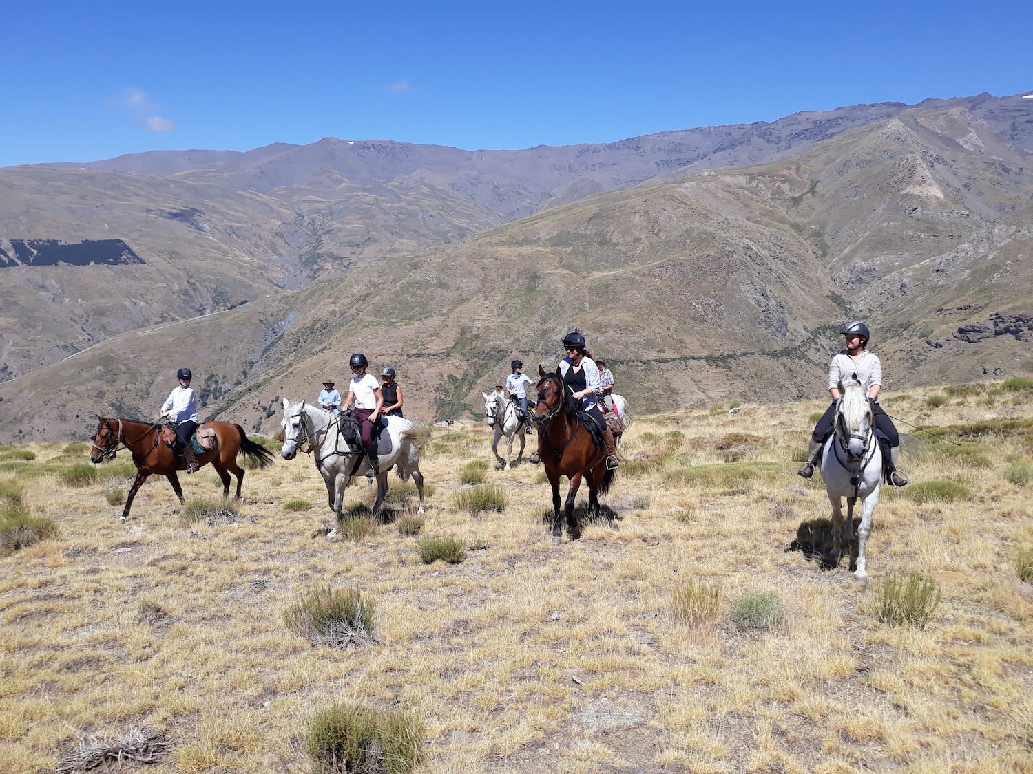 Horse Riding Holidays