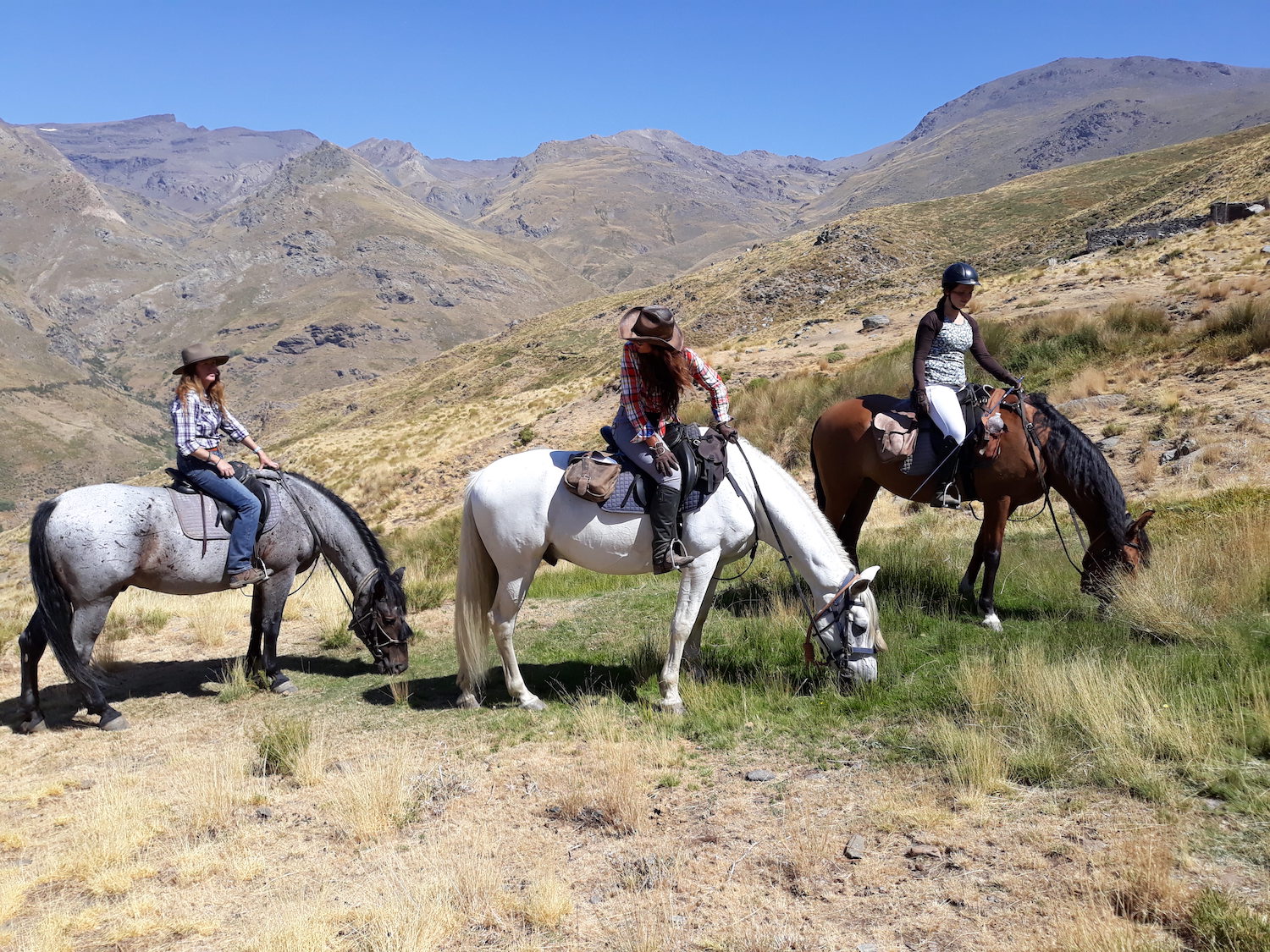 Horse Riding Holidays