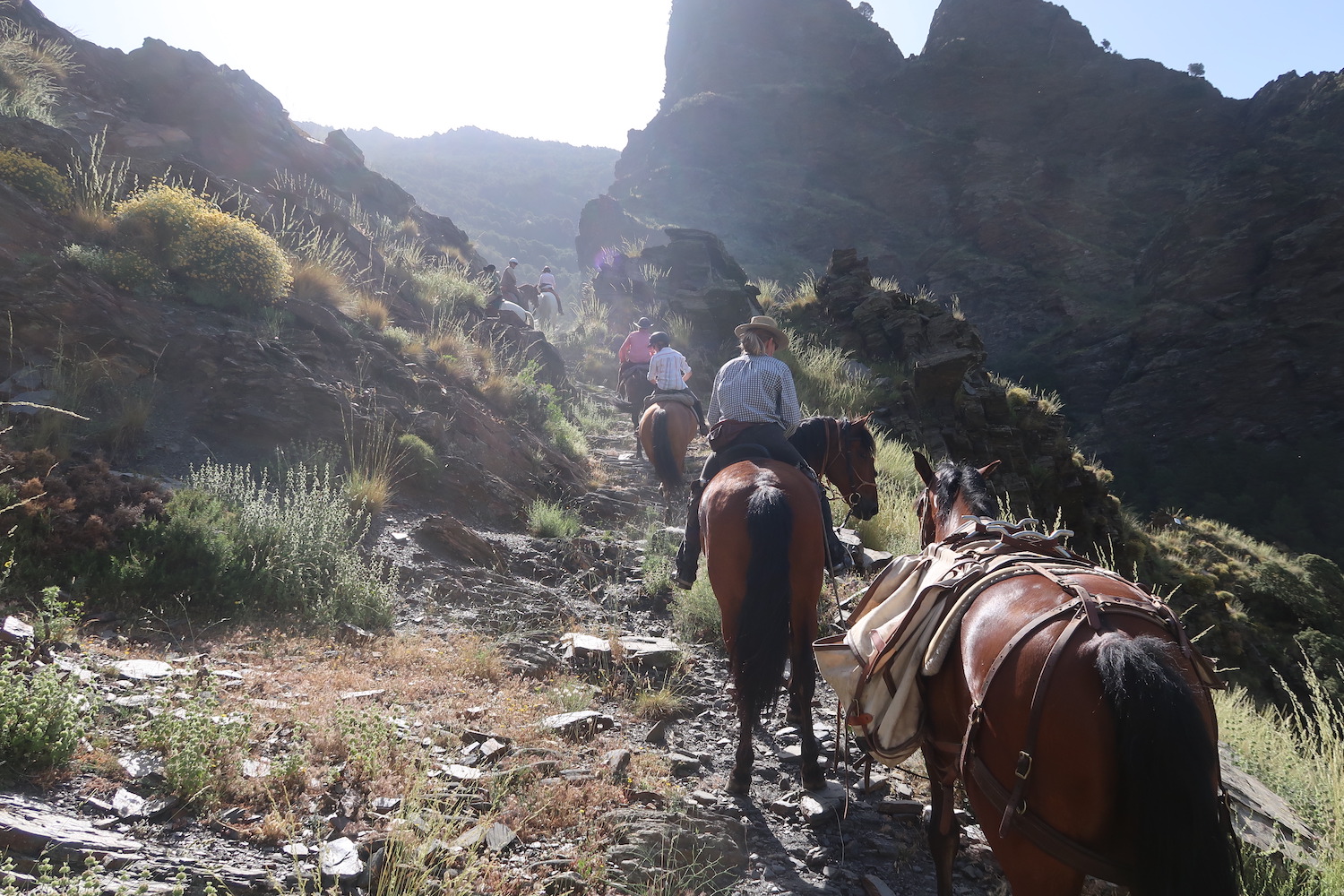 Horse Riding Holidays