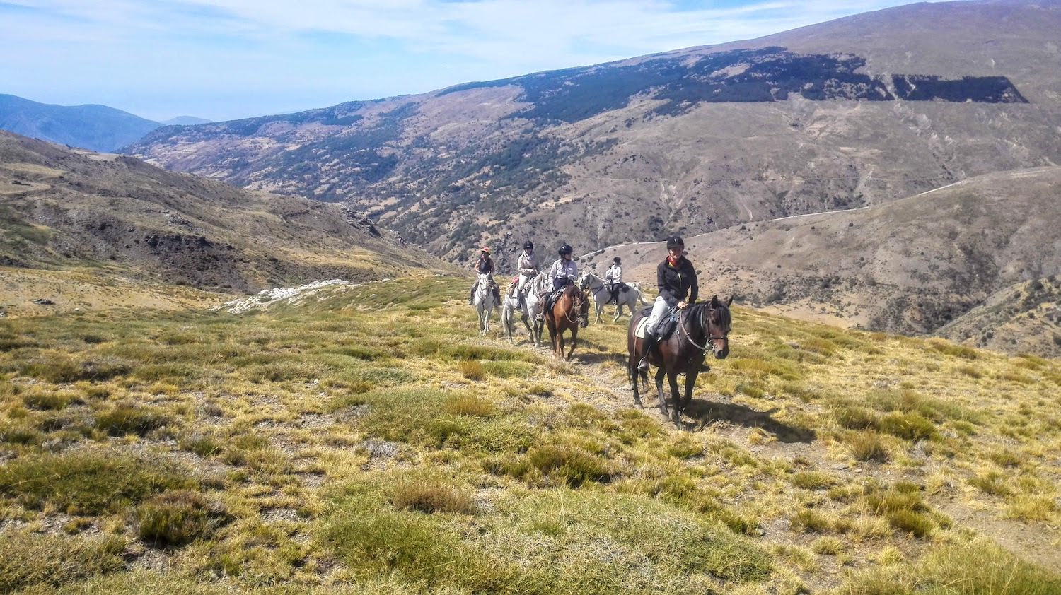 Horse Trails