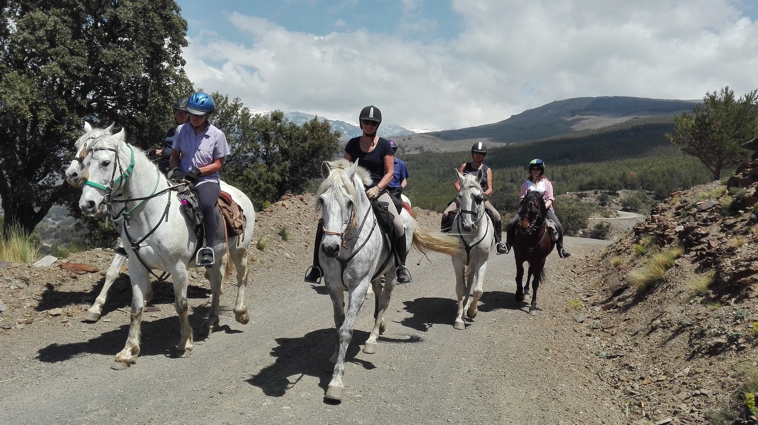 Horse Trails