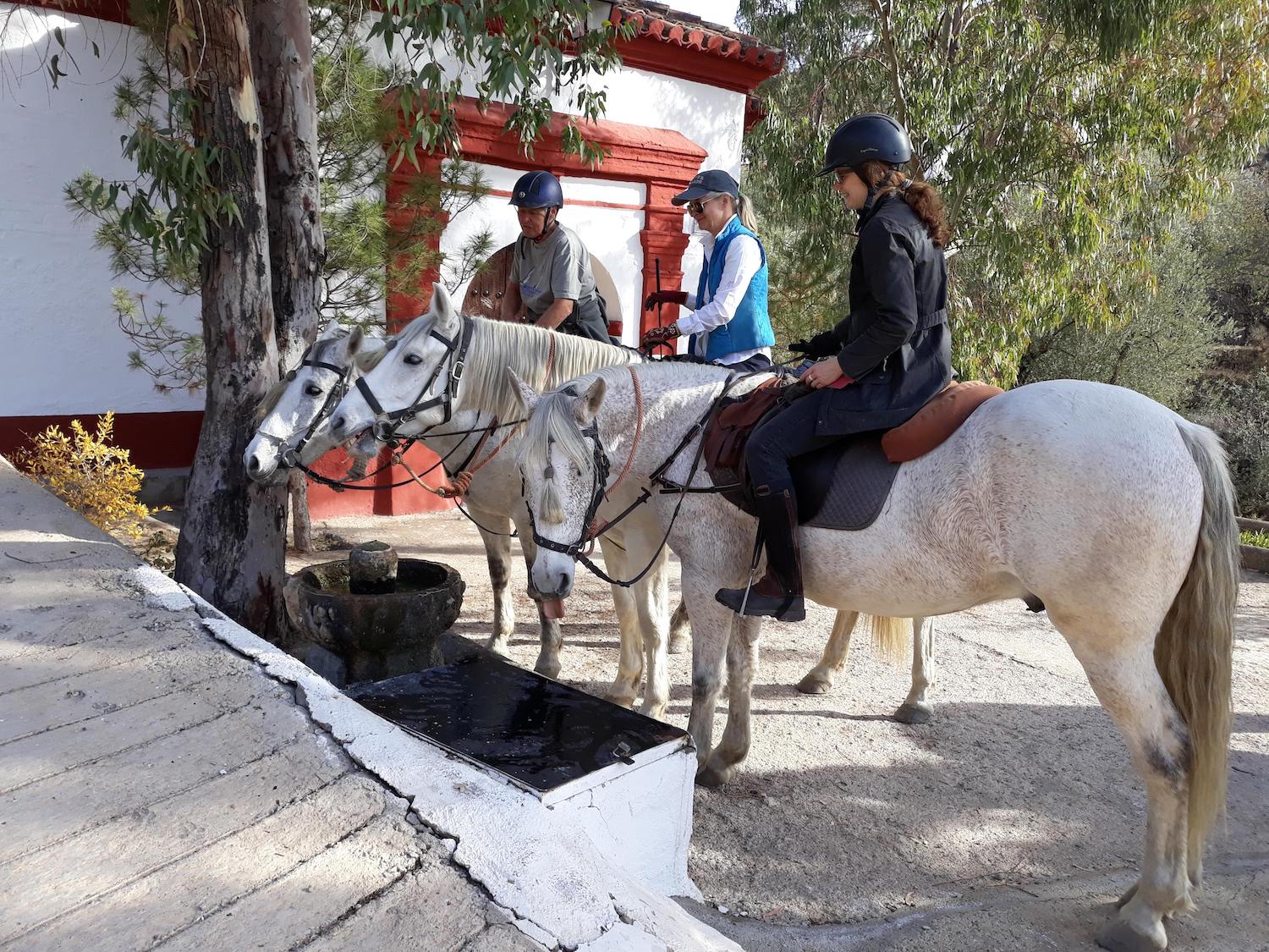 Horse riding Holidays Europe
