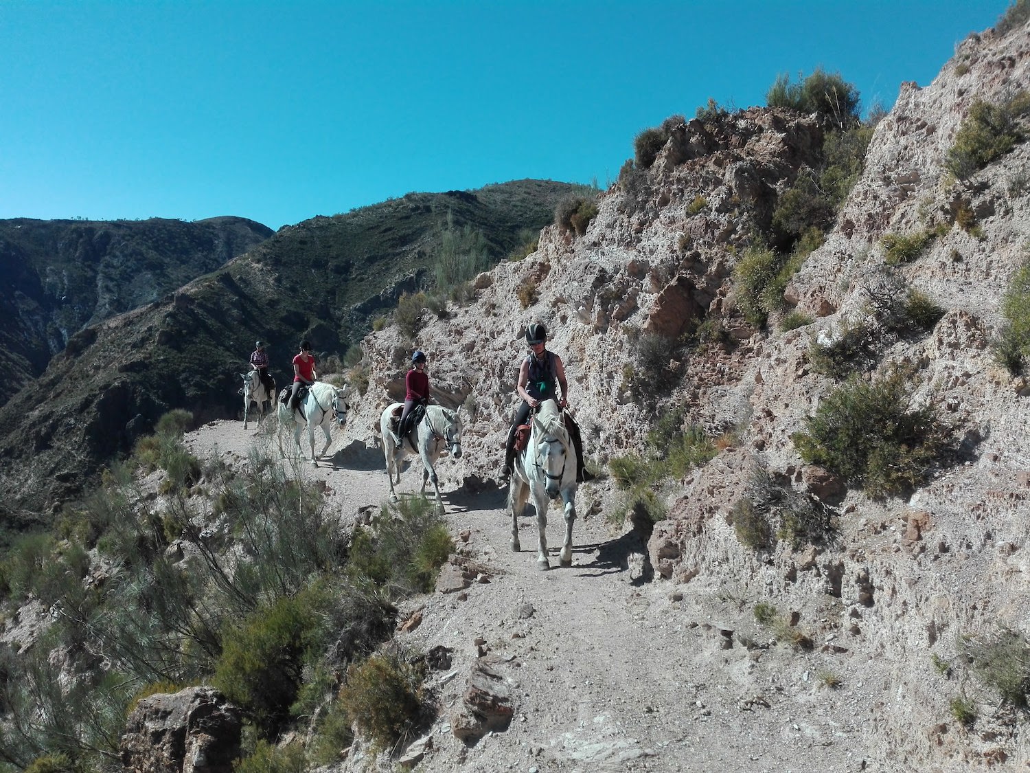 Horse Trail Holidays
