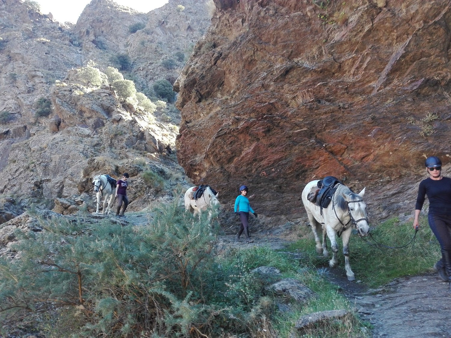 Horse Trail Holidays