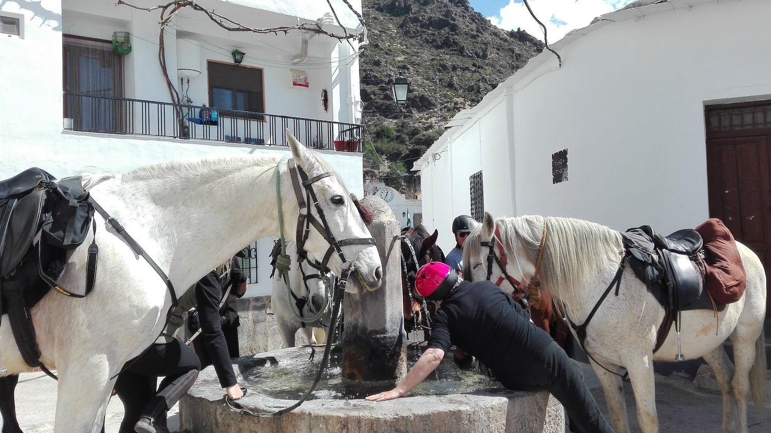 Horse Riding Mountains
