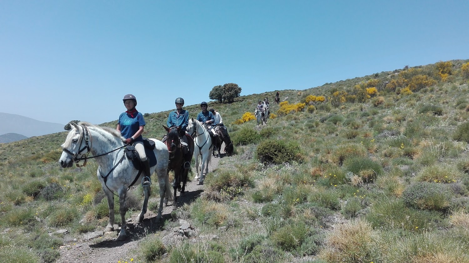 Horse Riding Mountains