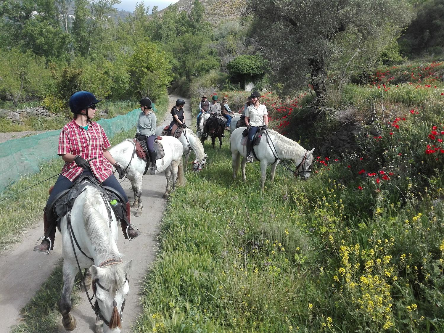 Horse Trails Europe