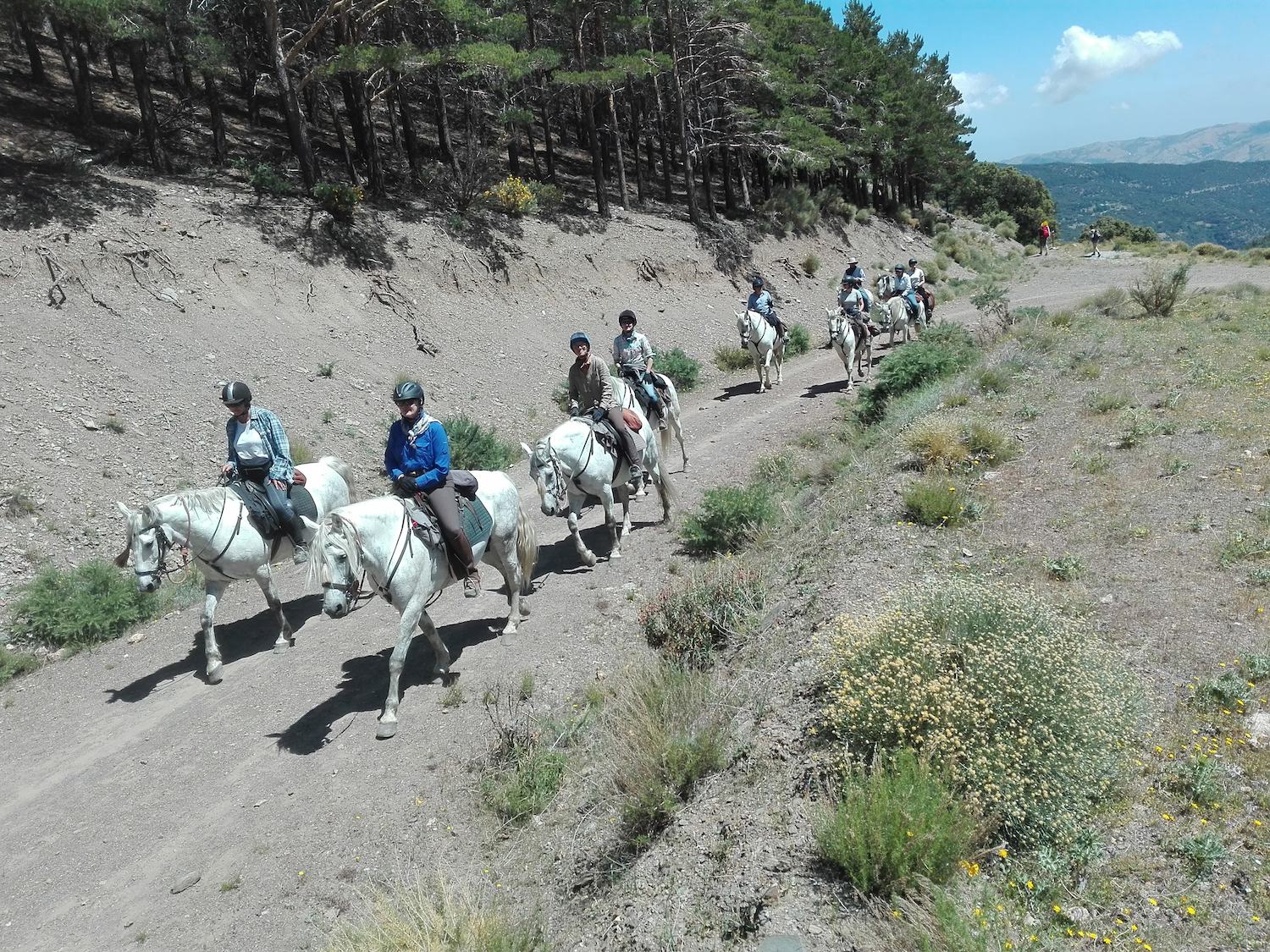 Horse Trail Holidays