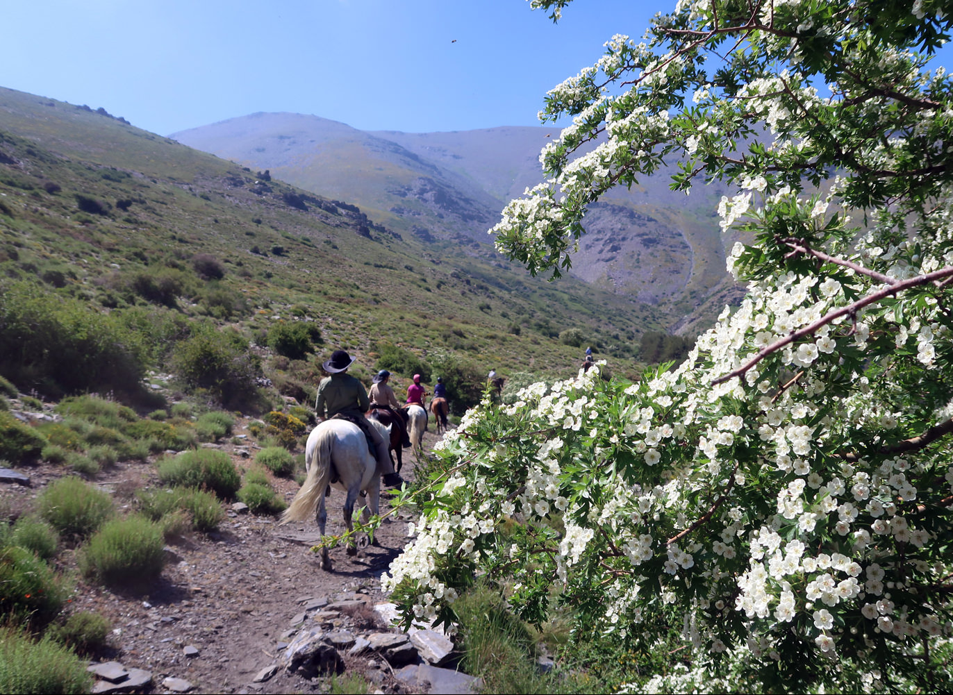 Sierra Trails Dallas Love Horse Trails in Europe - Stunning views on Horseback