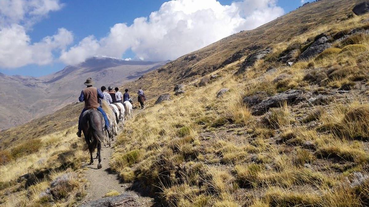 Horse Holidays in Spain