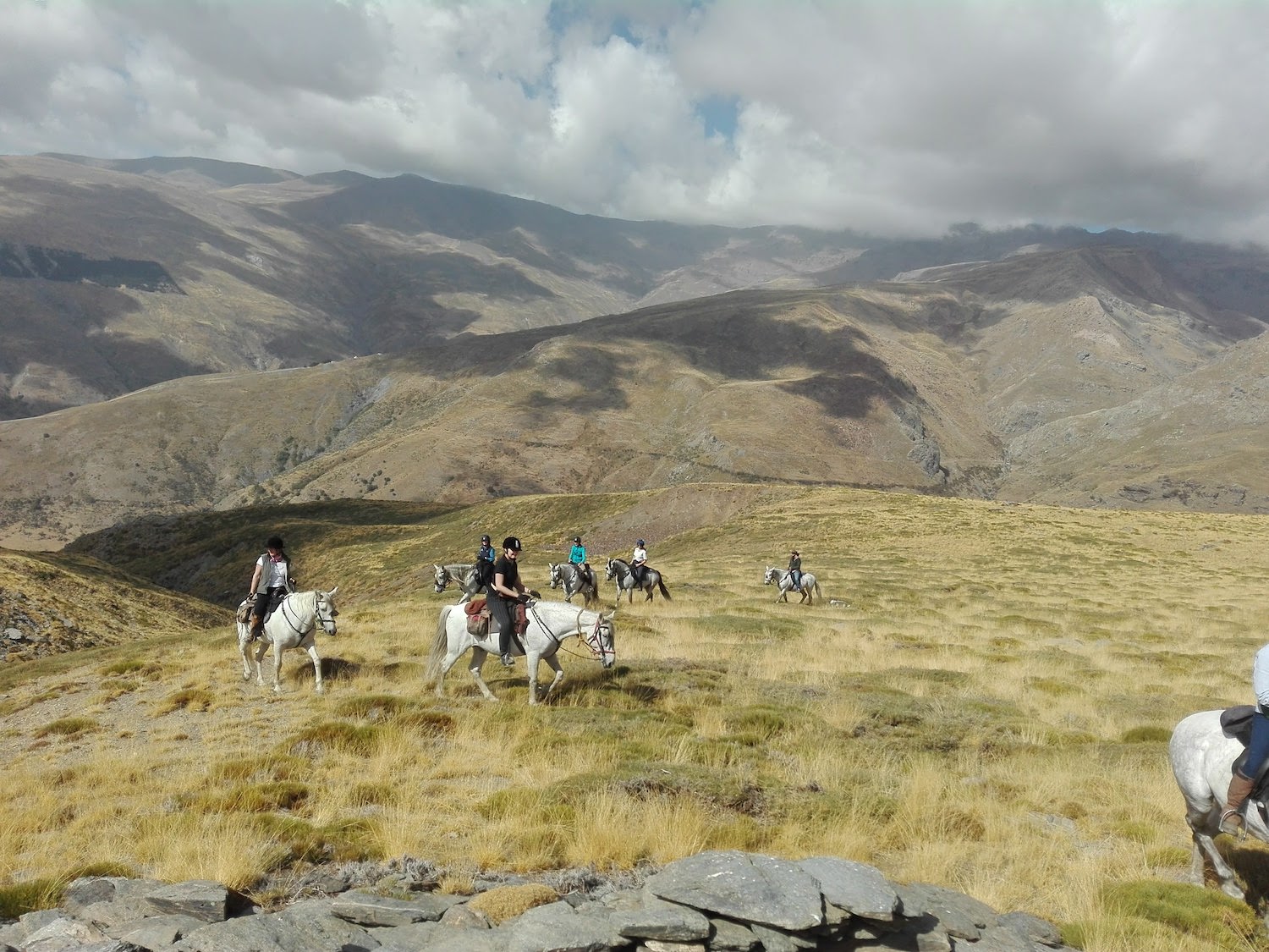 Horse Trails in the Mountains