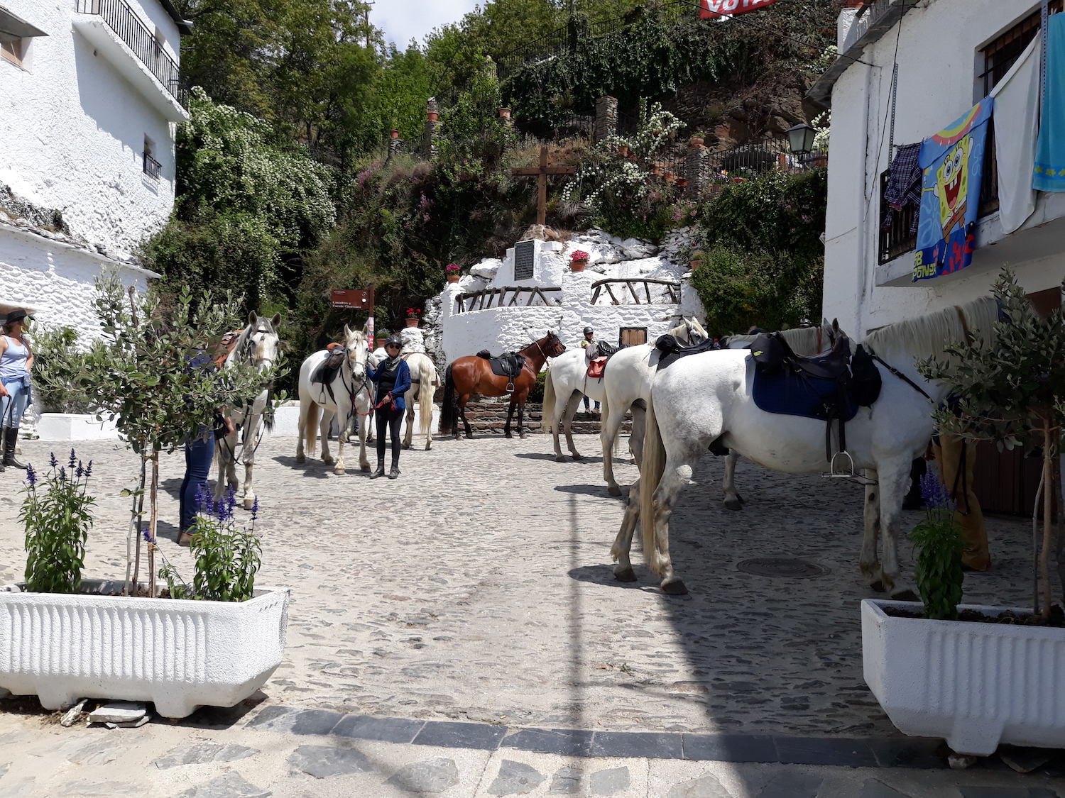 Horse Riding Holidays Europe