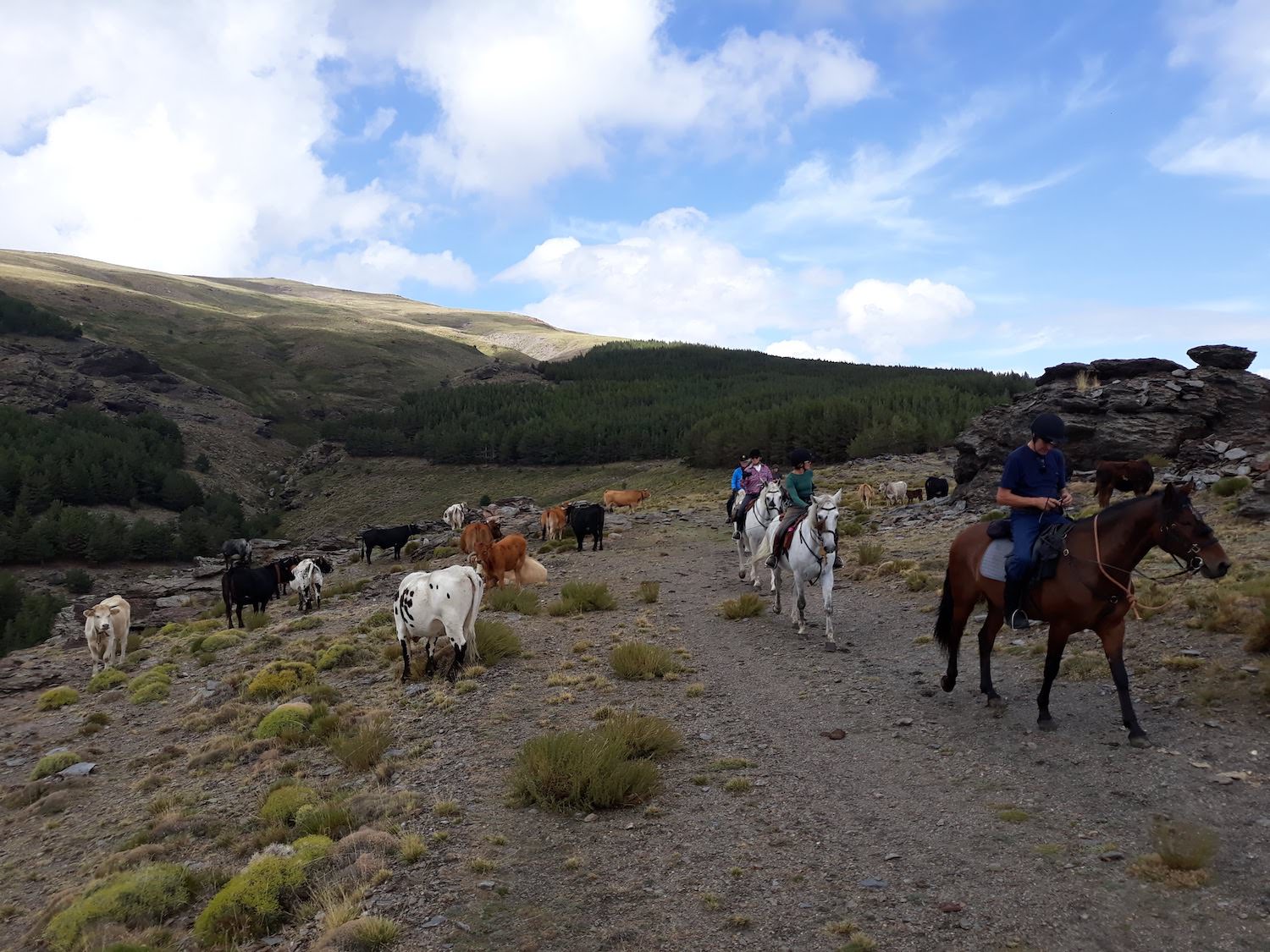 Horse Riding Holidays Europe