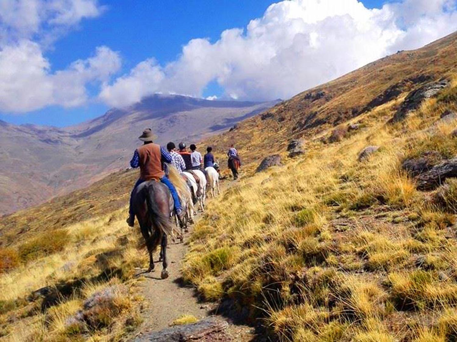 Horse Riding Holidays in Spanish mountains