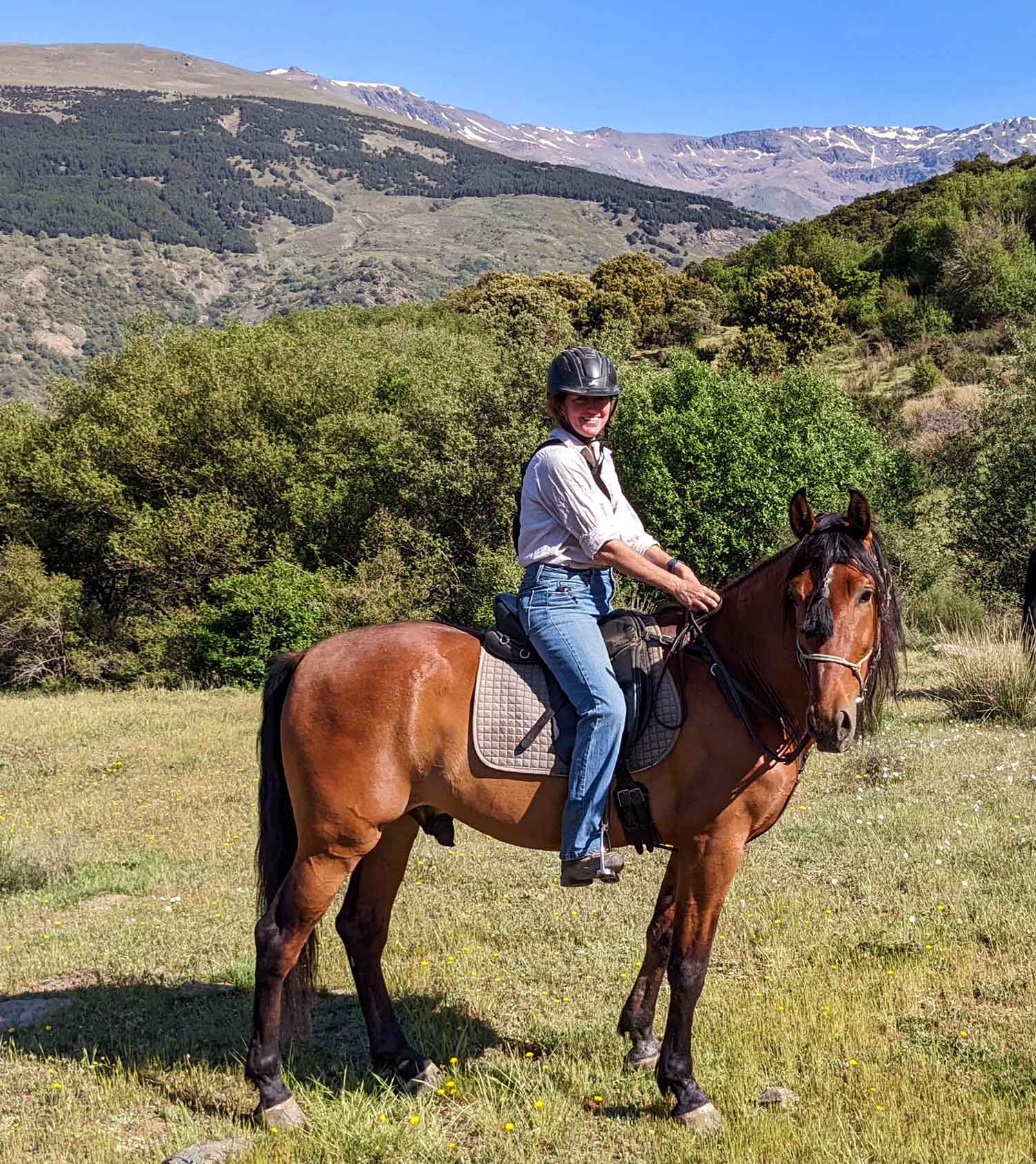 MELENAS Andalusian/Arab Gelding 163 cm (16 hands)